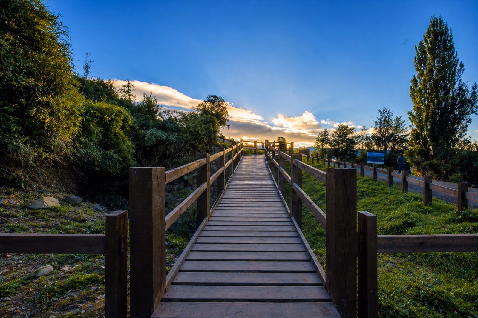 Camino de entrada